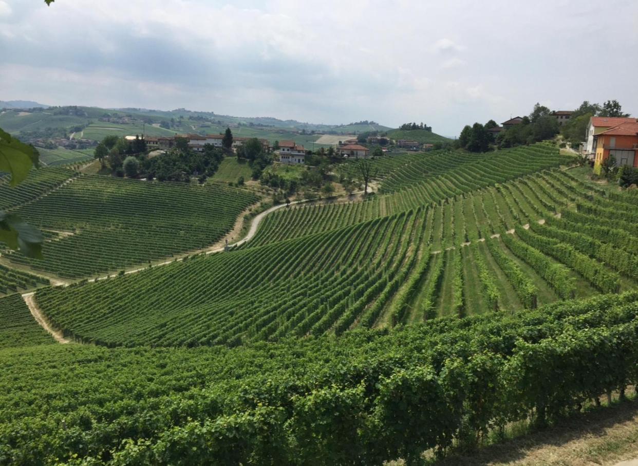 Castello Stella Vaglio Serra别墅 外观 照片
